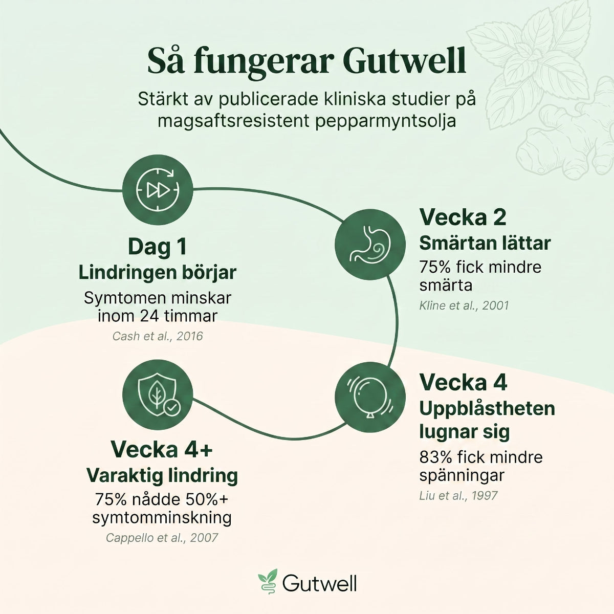 Gutwell Pepparmyntsolja Kapslar